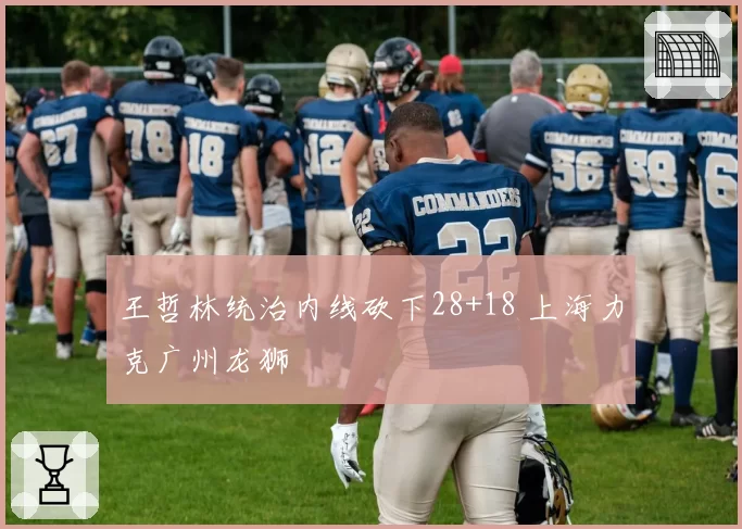 王哲林统治内线砍下28+18 上海力克广州龙狮